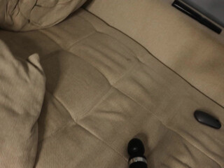 star_gazing test curly shy in fries