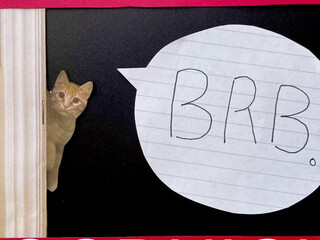 internet_famous 14 March 2020