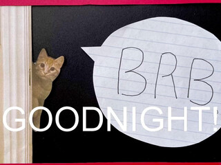 internet_famous gorgeous slut in oil