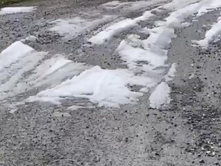 slavenagoddess Fantastic krala