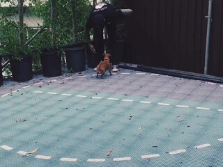 elenakoshkaxoxo 23 September 2020