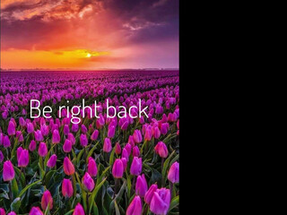 _first_eva_ beautiful chick fucks a fat man