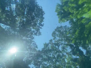 autumnvondoe 06 December 2020