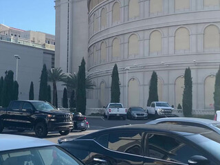 AnnaBlossom chic hot striptease