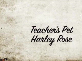 Helloharley  Slut cum sweet