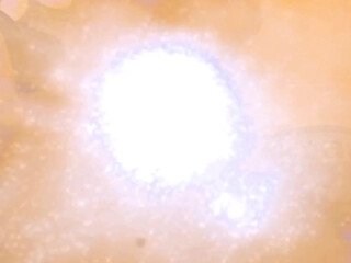 Karol Salles  predatory panther craves to cum in the process of jerking