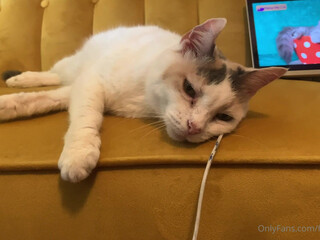 Fiona Hyacinth  Busty Curva