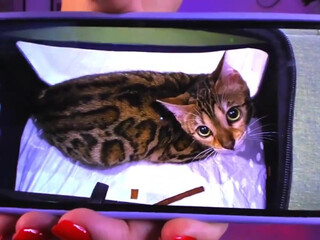 prettyalison wonderful skin caresses the vagina