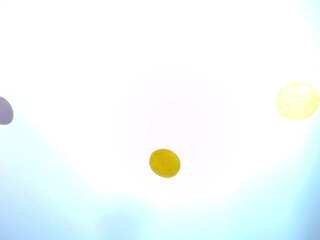 dani_cat premium live show with a beautiful horny babe