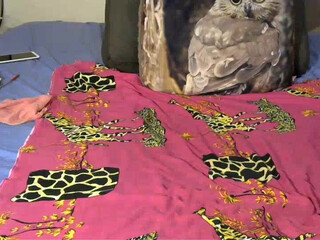 marisi_ hot webcam triple sex show