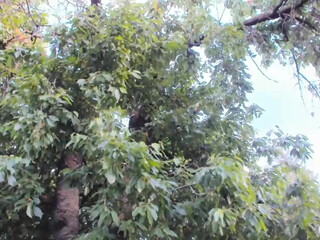 patry333 ticket sex show hot