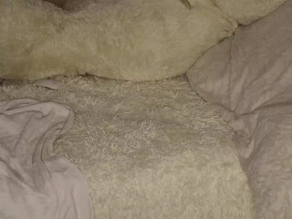 patry333 sultry passion