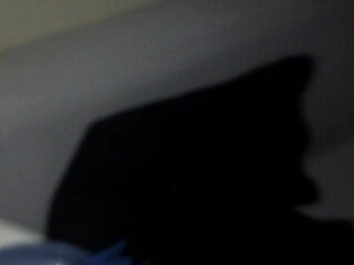 Brandy Mia aka brandymia onlyfans  sweet chick fucks both holes