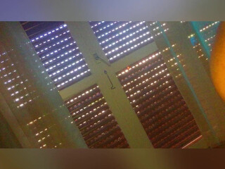 Carol Dias aka realcaroldias  gape rubbing  webcam fuck show with skinny american