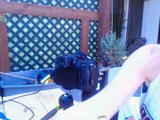 ka8eeowen  aka kateelife Busty chick fucks her cunt with a strap-on