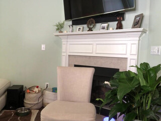 eva lovia Chubby mare in honor of the holiday shows its bust