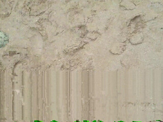 Longwoodx (@longwood79) onlyfans Busty small exposes her charms