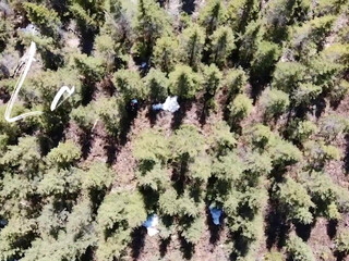 LLadventures (@lladventures) onlyfans Impressive girls show pussies