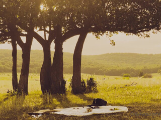 Axinia Shvyreva  onlyfans Refined girls swagger in privatika