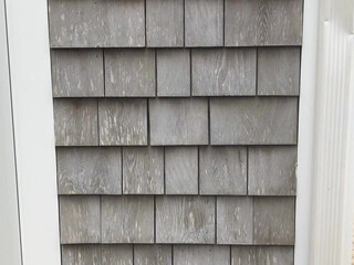 Ambsofficialxo onlyfans Sexy girls teasing pussies