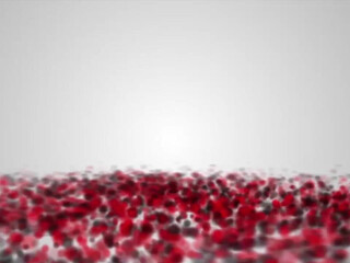 toochi kash onlyfans Cute blonde babe sucking dick well