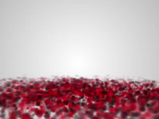 toochi kash onlyfans Lush mare shows underwear