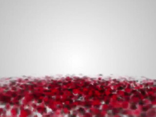 toochi kash onlyfans Charming babe in free chat