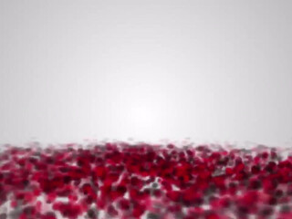 toochi kash onlyfans Shy babe caresses shaved cunt