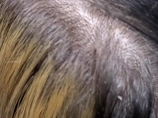 bodyposistylist Slim girl relish masturbating vagina