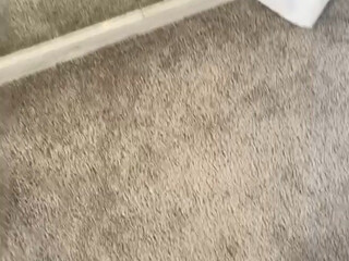 alexandramc Busty mare gets fucked by a sweetheart