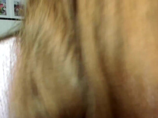 yourlittlepervert Tattooed confused fingering sex toy