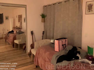 emersoncane Gorgeous shlendra striptease dances