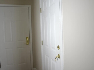 Horny Lily pornhub Flirty chick shows vagina