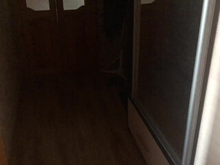 trippyMMs Pornhub.com Russian female erotically undressed