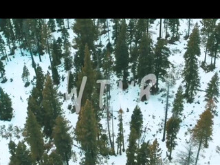 Rachel Cook, rachelc00k onlyfans Crazy beast develops anus