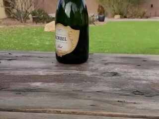 Rachel Cook, rachelc00k onlyfans Juicy shmara sucks dick