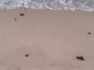 xxapple onlyfans Dark-skinned females jerk off the vagina