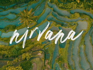 Rachel Cook, rachelc00k onlyfans Painted chick sucks dildo