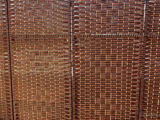 VinaSkyy onlyfans Crazy confused masturbates shaved cunt