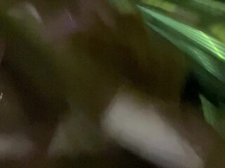 Lexi Poy, The Lexi Princess, lexipoy, lexipoy4 onlyfans Luxurious chick caresses breast