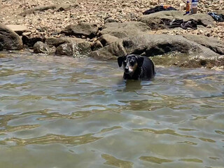 Stella Violet, stellaviolet, stellavioletxx I shove a huge bottle in the ass