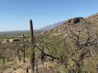 Stella Violet, stellaviolet, stellavioletxx private dance