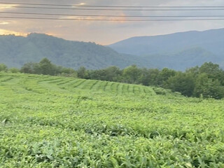 Ekaterina Enokaeva,  Sexy slut washes in the shower and jerks off