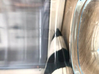 Gelya, Angelina Kuznetsova,  Gorgeous chick sucks cock and gets fucked