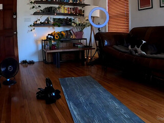 Kissa Sins onlyfans Delightful bitch exposes sexy body