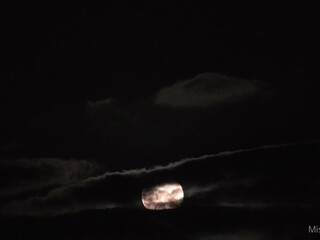 Lacy Lennon onlyfans Beauty lights without clothes