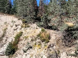 Lacy Lennon onlyfans Charming babe fucks herself