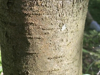 Anna aka arilaviee onlyfans gorgeous body with big tits