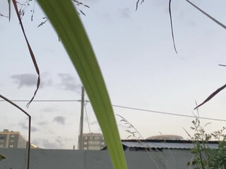 Anna aka arilaviee onlyfans Exquisite kurva masturbates relish anus