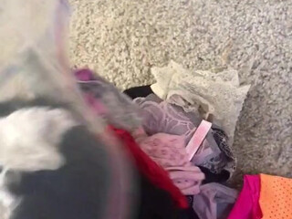 elsadreamjean onlyfans babe moans sweetly